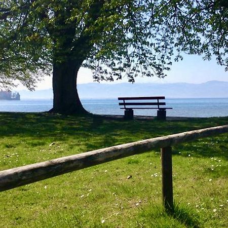 Ferienwohnung Altes Haus 2 Lindau  Bagian luar foto